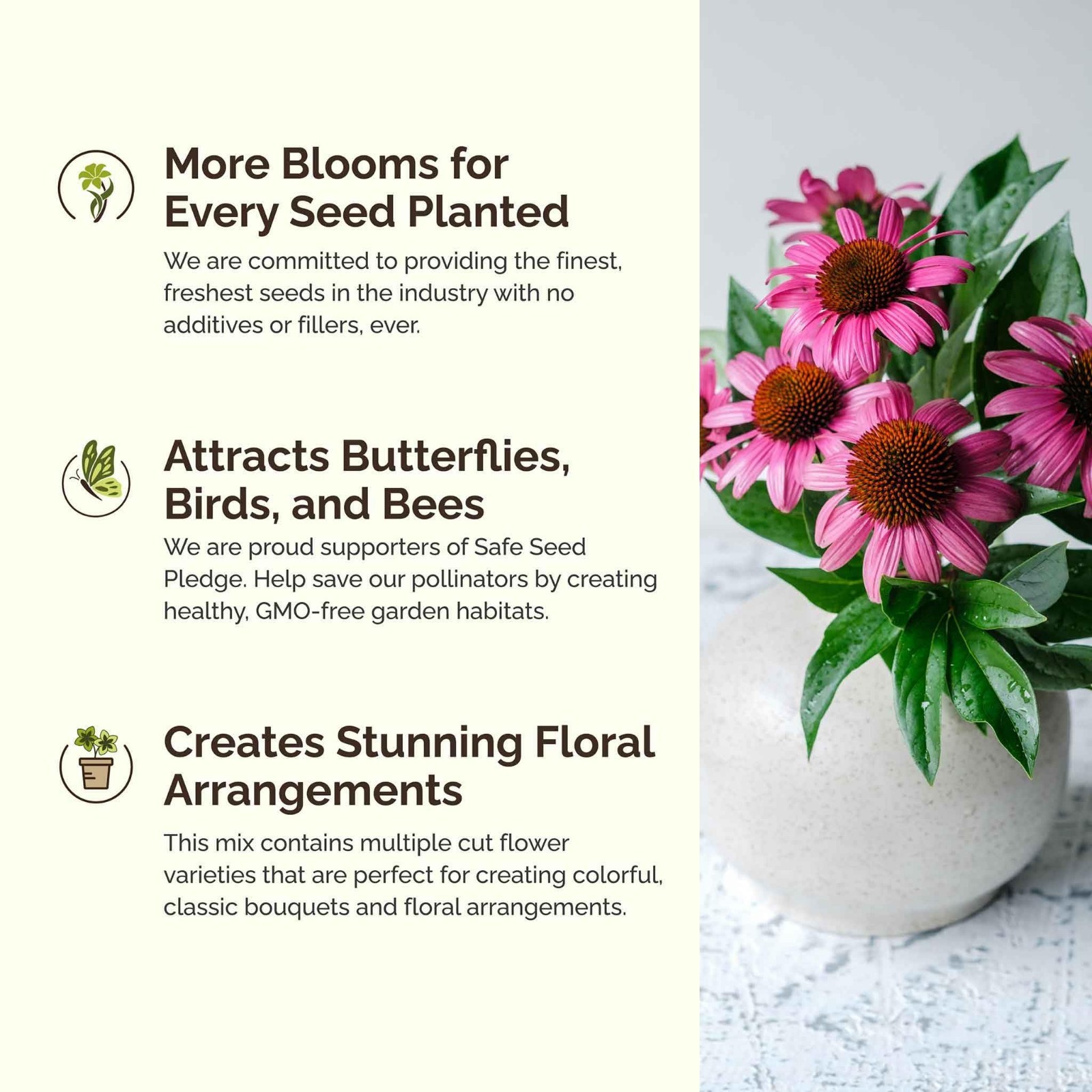 Wildflower Mixed Seeds for Planting – 1 lb, 480,000+ Seeds, Attracts Pollinators