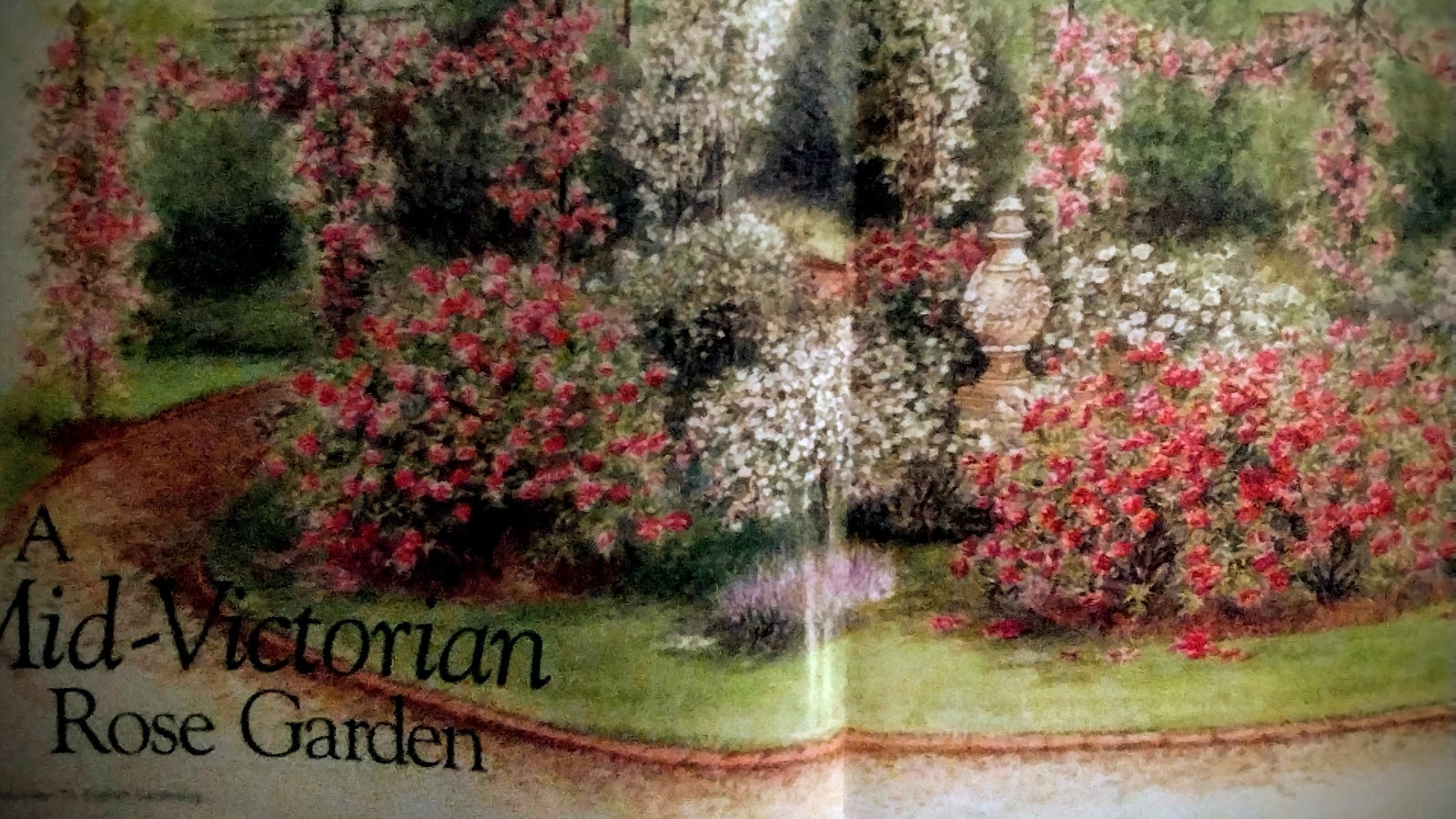 MAGAZINE INTRODUCTION TO ENGLISH GARDENING — AMAZON 2000 VICTORIAN / ROSES