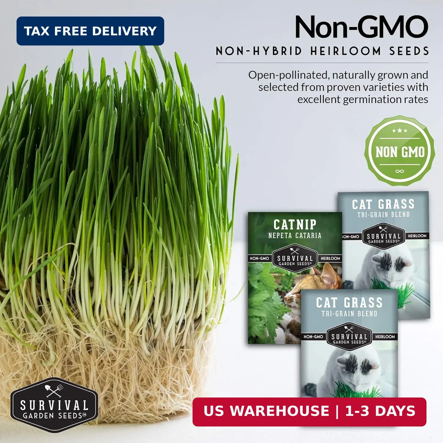 Cat Grass and Catnip Seeds Collection – 3 Packet Non-GMO Heirloom Planting Bundl