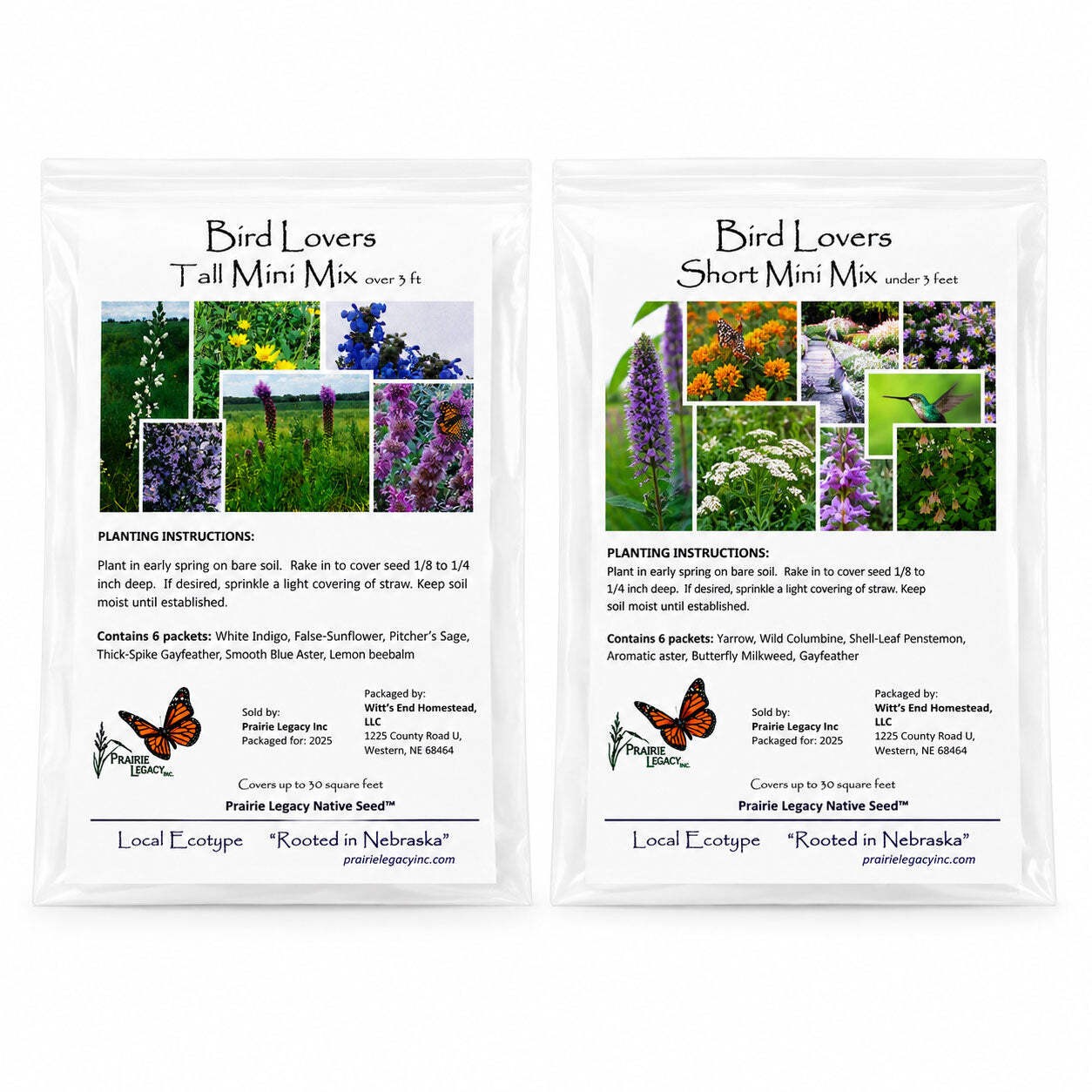 Backyard Bird Wildflower Bundle | Tall & Short Mini Mixes | Prairie Legacy Inc.