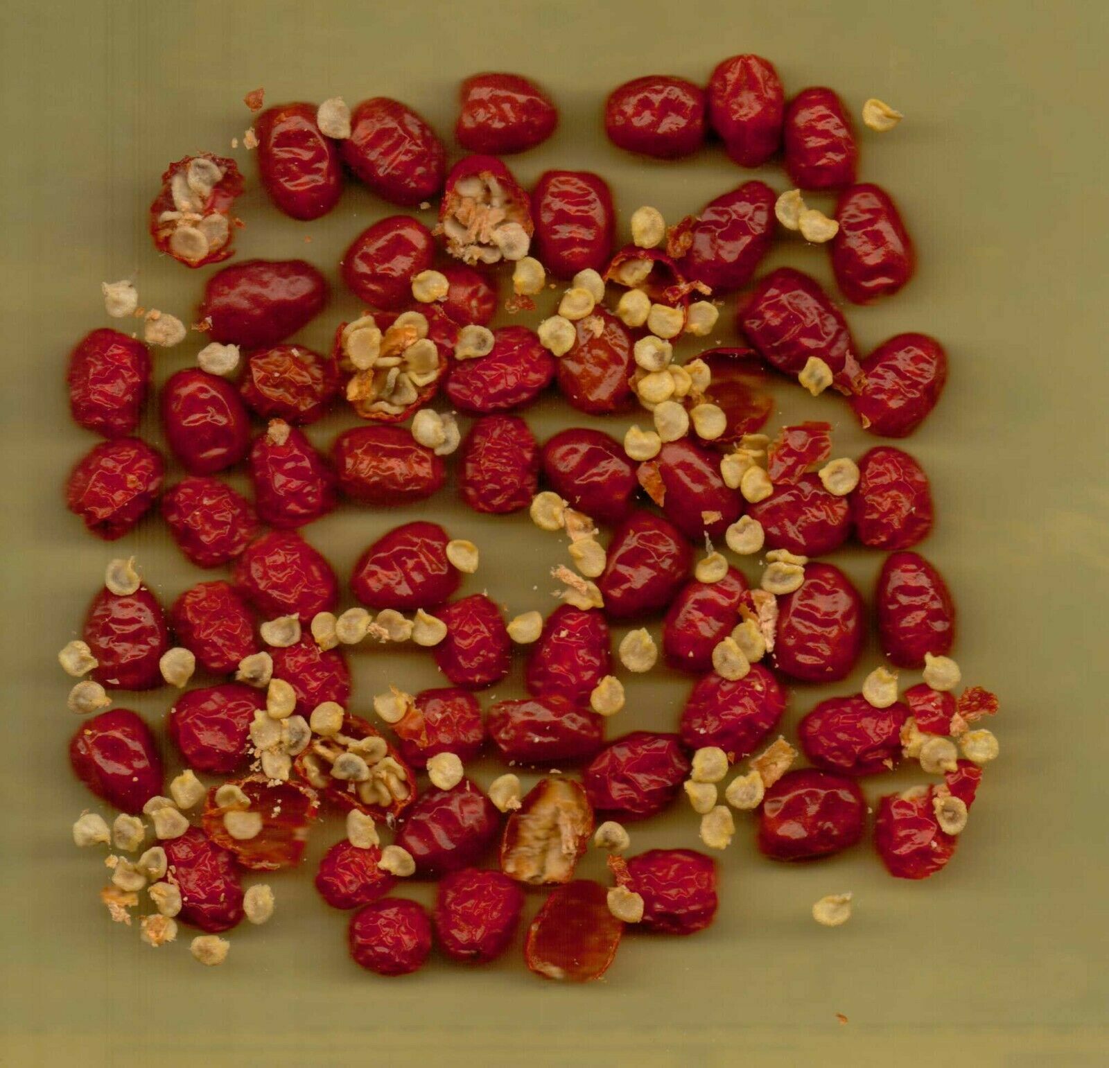 TEXAS Pequin Pepper Seeds.Semillas de Chile Piquin 15+.( Wild HOT)