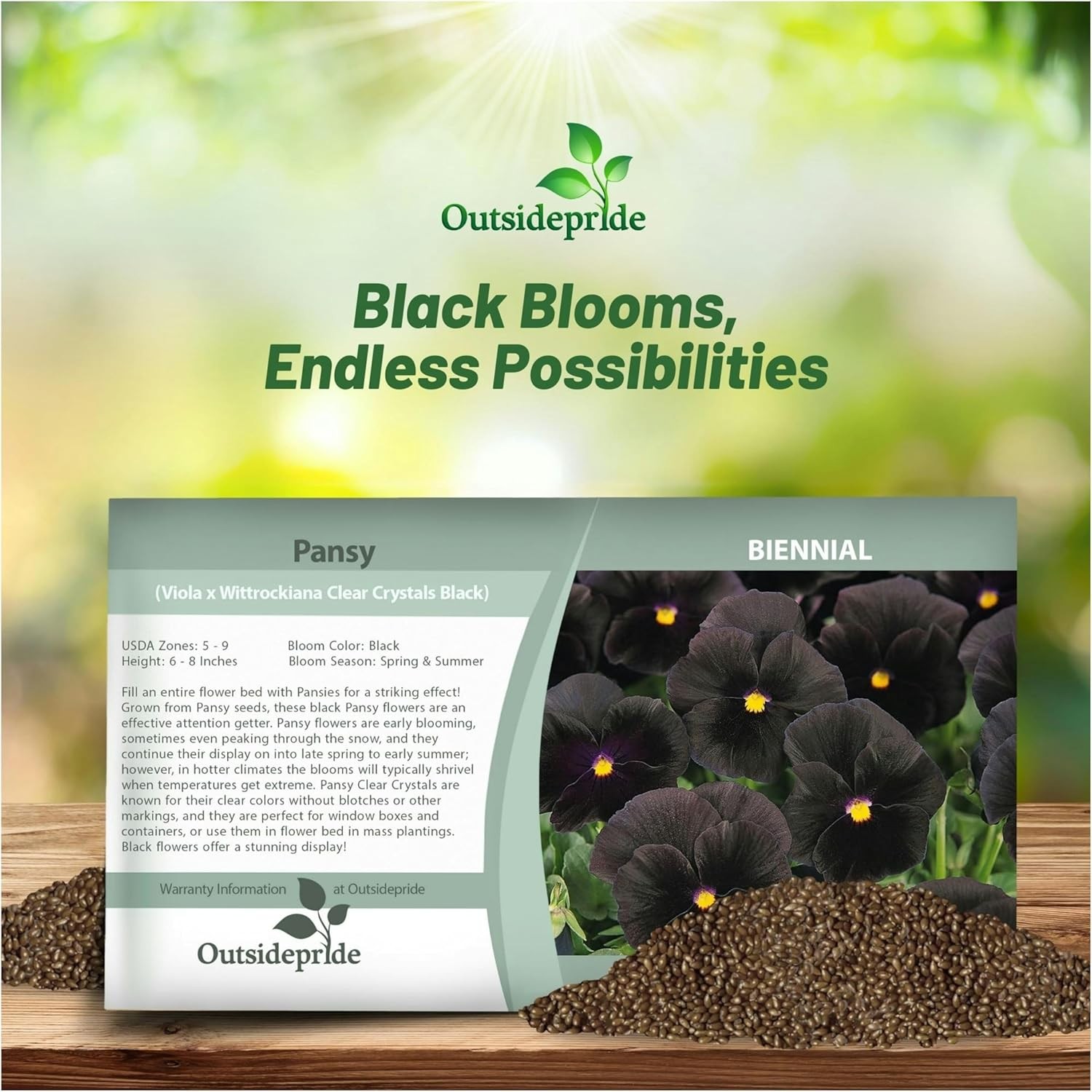1000 Seeds Black Viola Pansy Seeds For Planting – Wittrockiana Clear