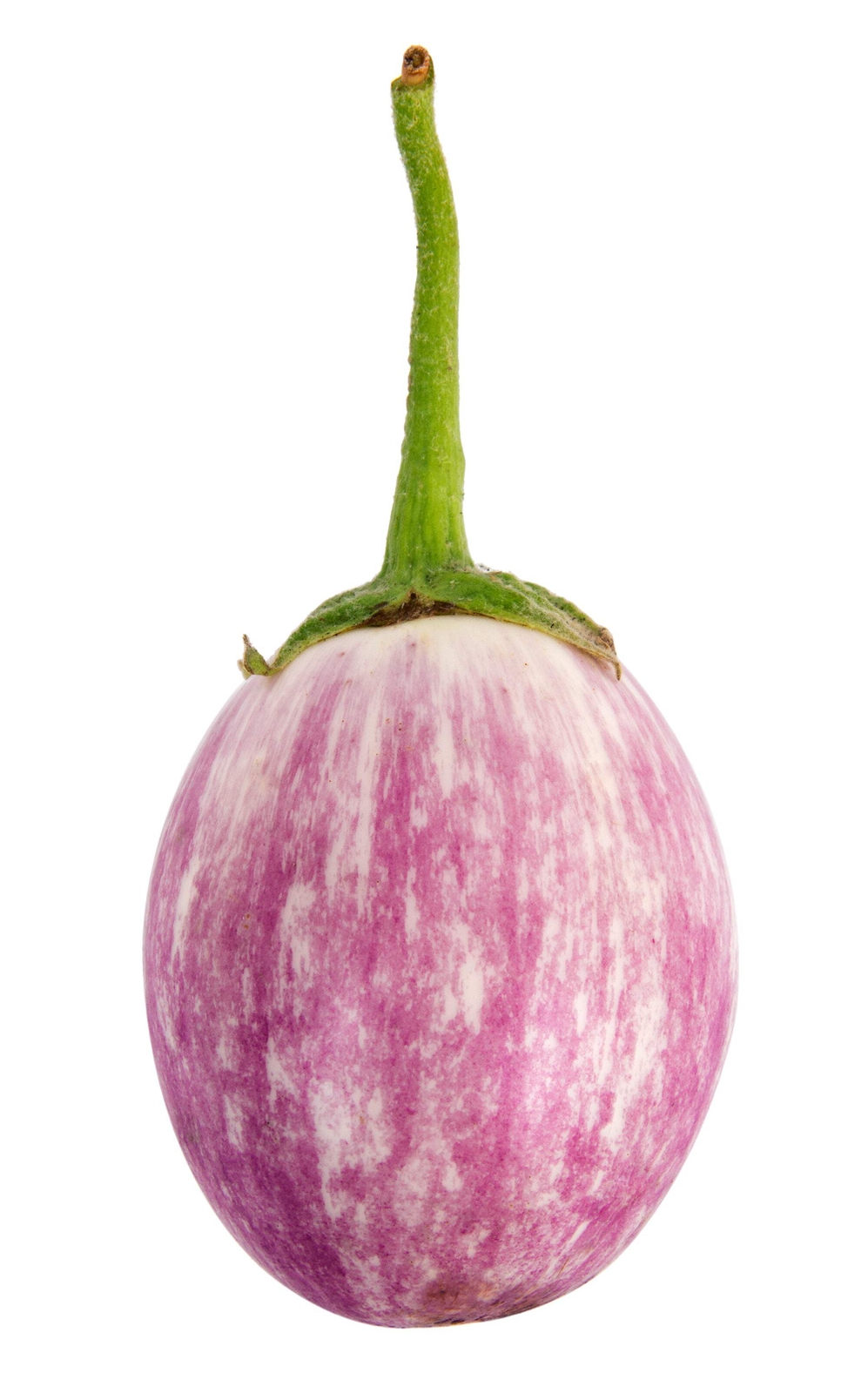 50 Organic Italian EGGPLANT ROSA BIANCA Solanum Melongena Vegetable Seeds