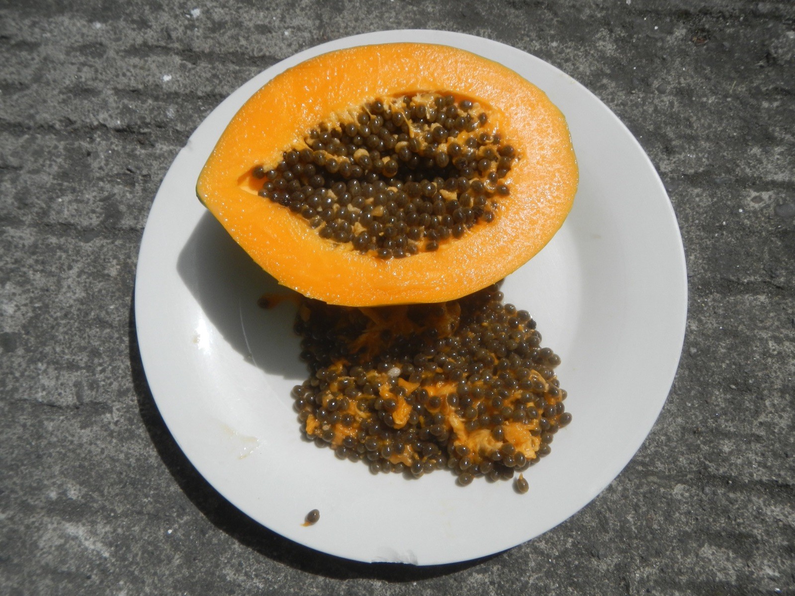 Carica papaya 100 Seeds – Papaya