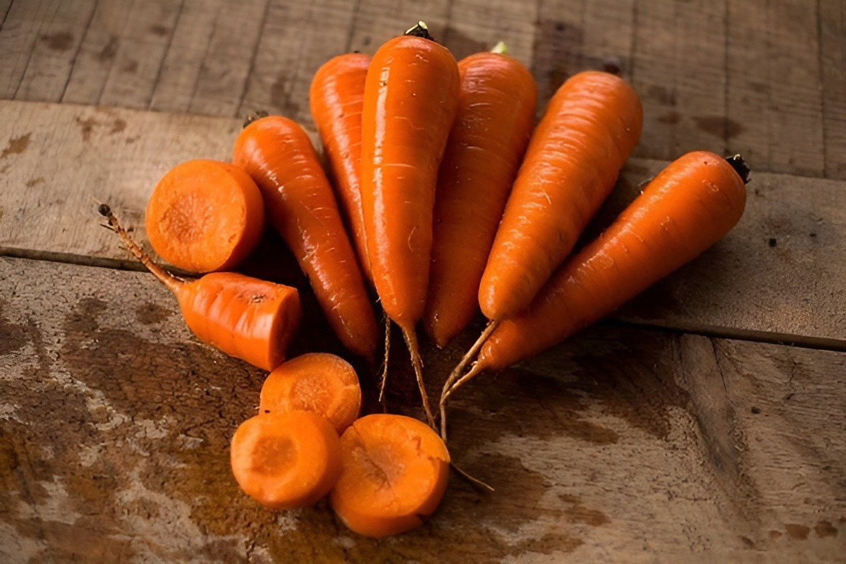 2,000 Heirloom Chantenay Red Core Carrot Seeds Organic NonGMO Sweet Red Core