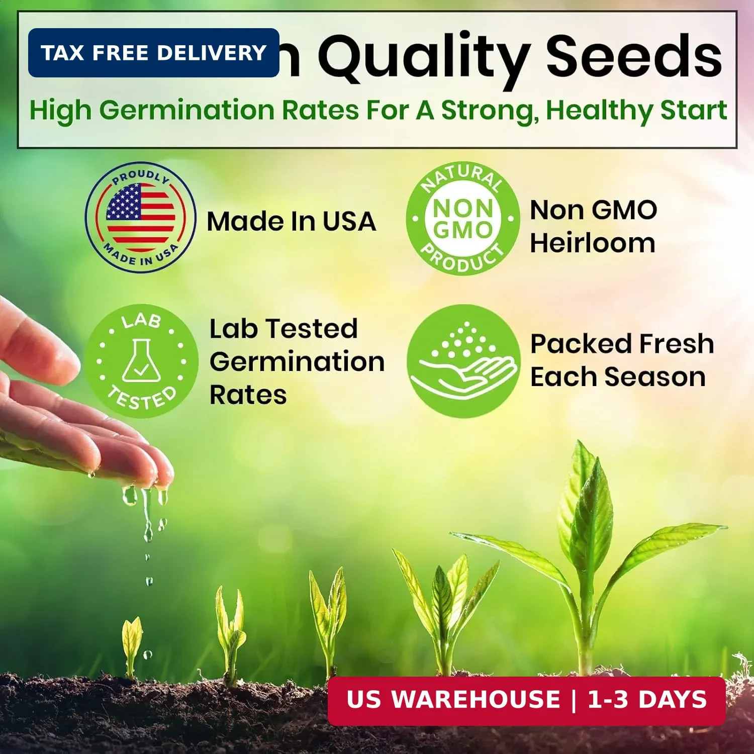 5 Herb Seeds Variety Kit, Oregano, Cilantro, Parsley, Basil, Chives