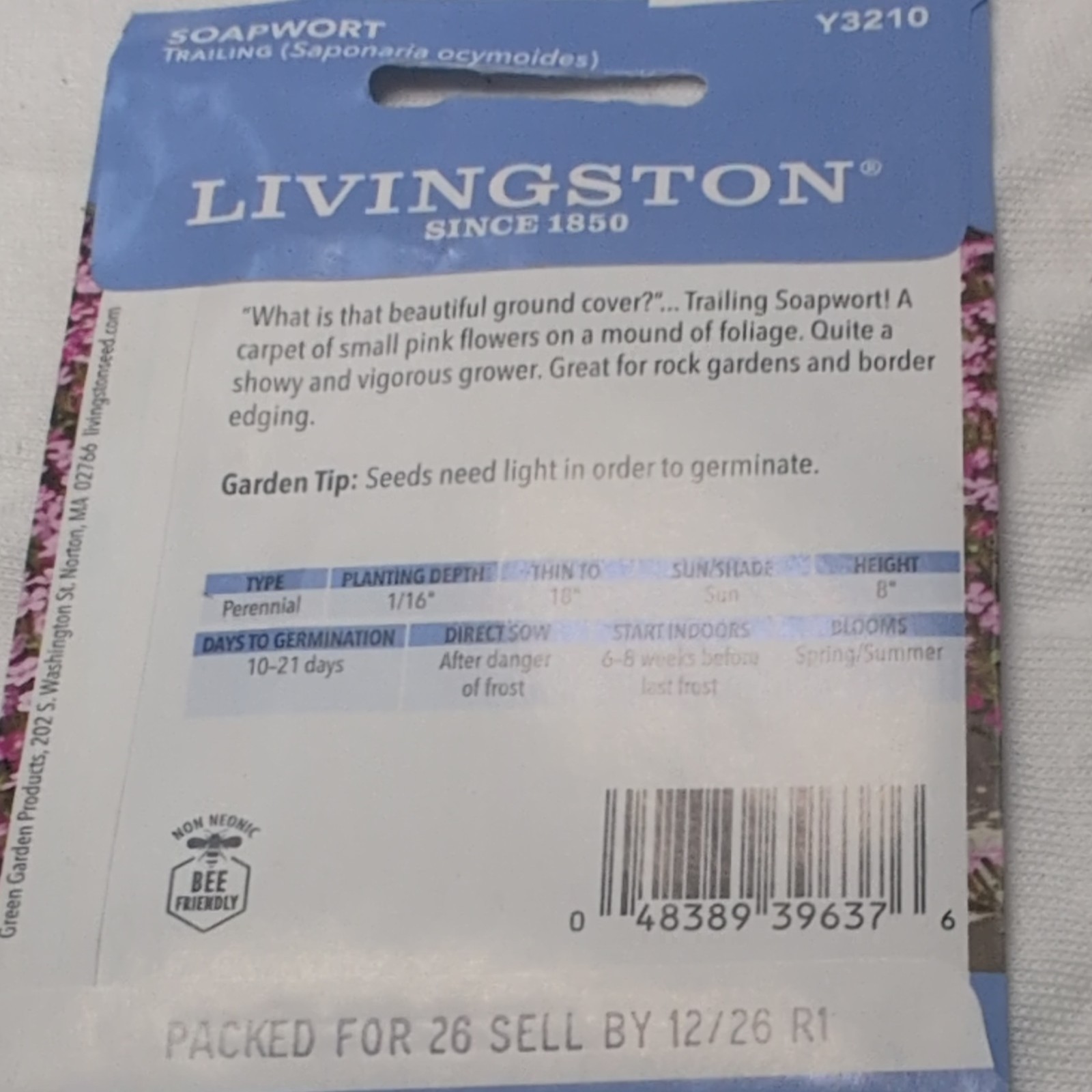 Livingston Soapwort Trailing Perennial Pink Full Sun Spring Summer Y3210
