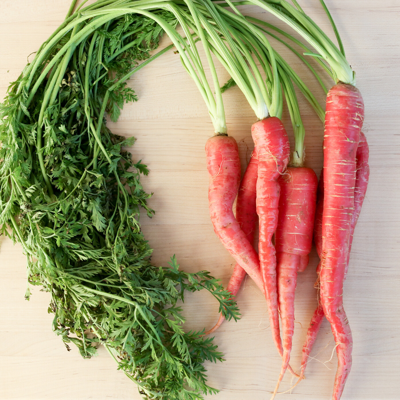 RARE✿ Heirloom Kyoto Red Carrot 30+ Seeds ●Great for Fall Garden