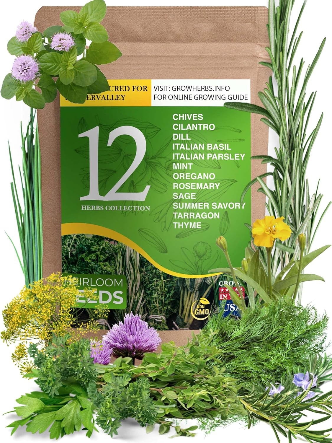 12 Heirloom Culinary and Medicinal Herb Seeds for Planting – Non GMO, and USA Gr