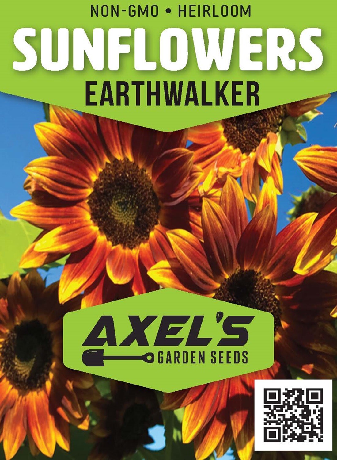 Bulk Sunflower Seeds for Planting – Heirloom NonGmo Flower Seeds for Home Garden
