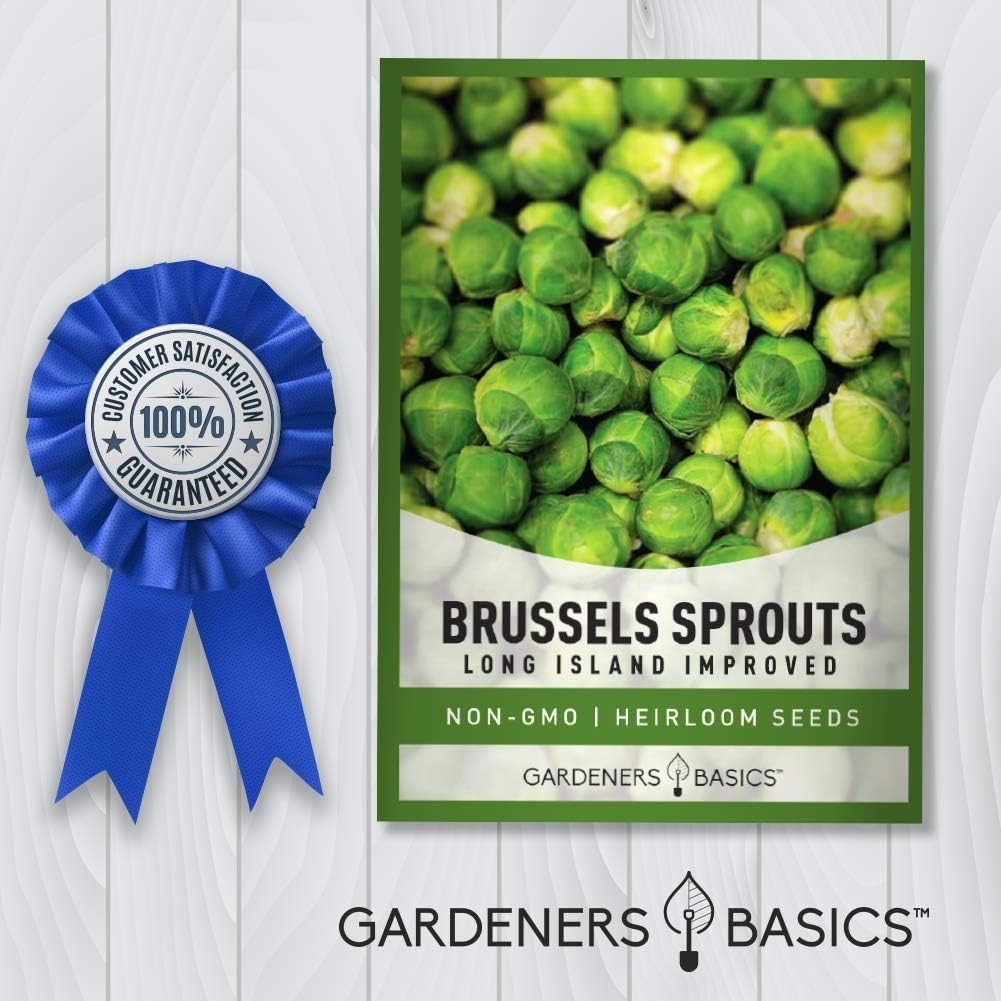 Long Island Improved Brussels Sprouts Seeds – 225 Count, Perfect for All Seasons