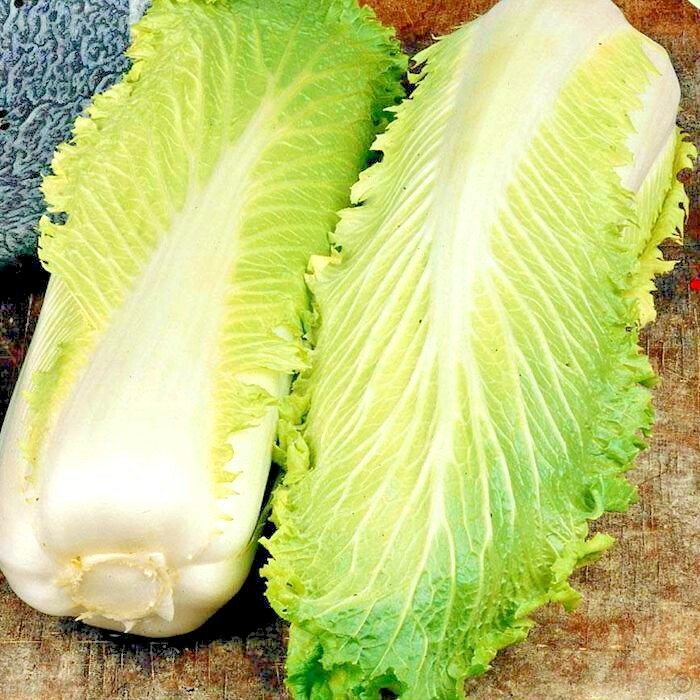 601+MICHIHILI Cabbage Seeds Organic Asian Spring Fall Vegetable Garden Container