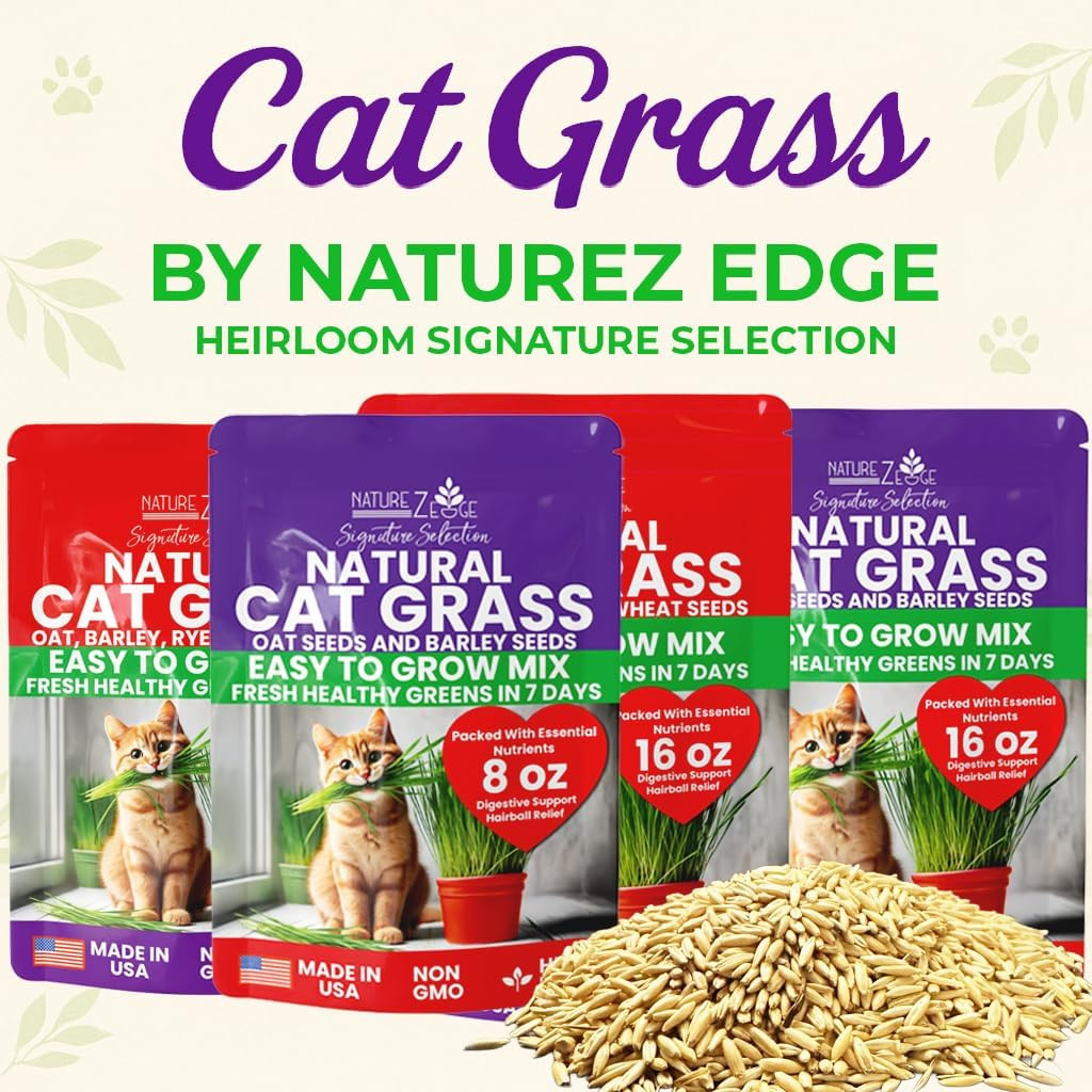 Cat Grass Seeds & Catnip Seeds – 3 Pack Variety Kit, Cat Grass for Indoor Cats