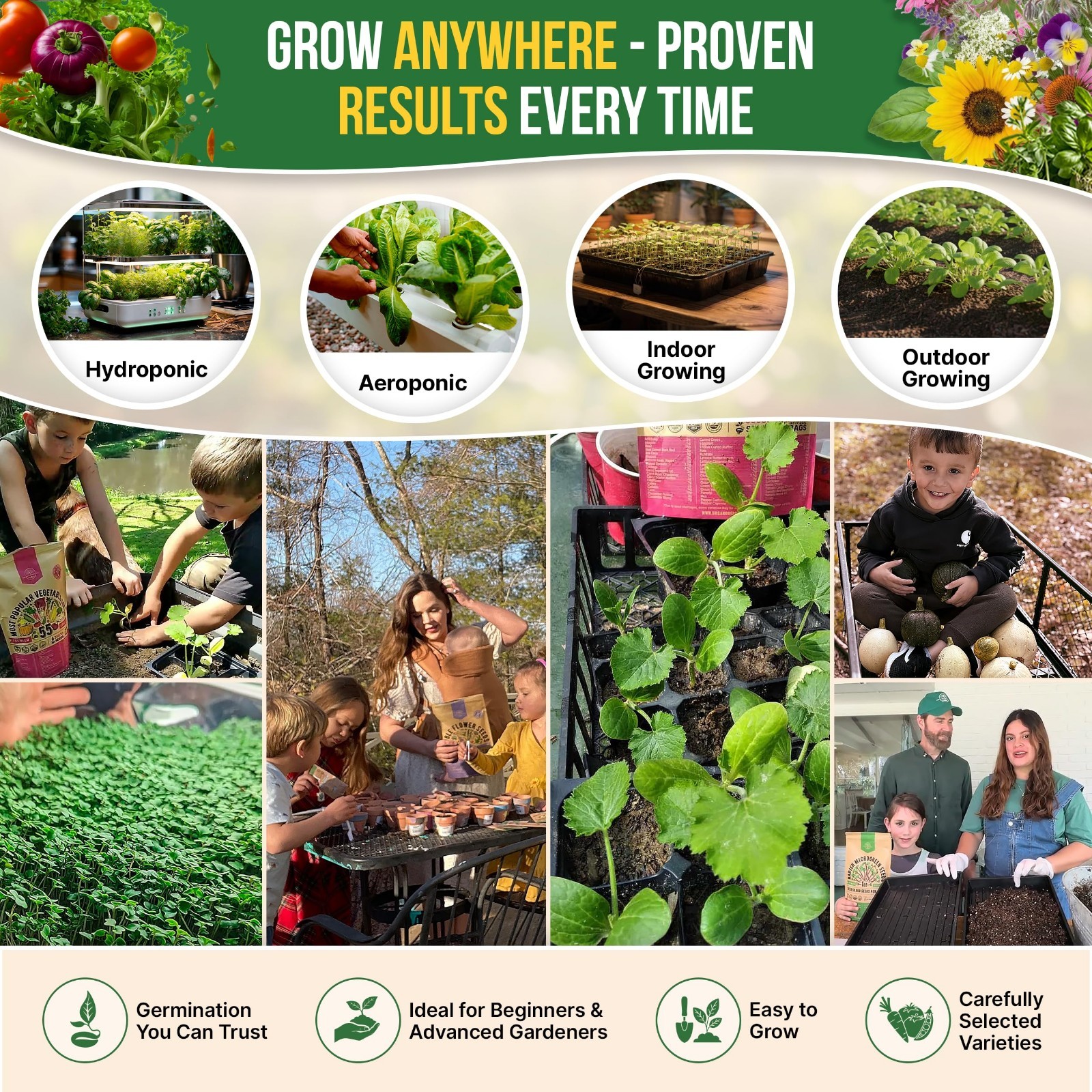 75 Medicinal & Tea Herb Seeds Variety Pack – Non-GMO Heirloom Garden Starter Kit