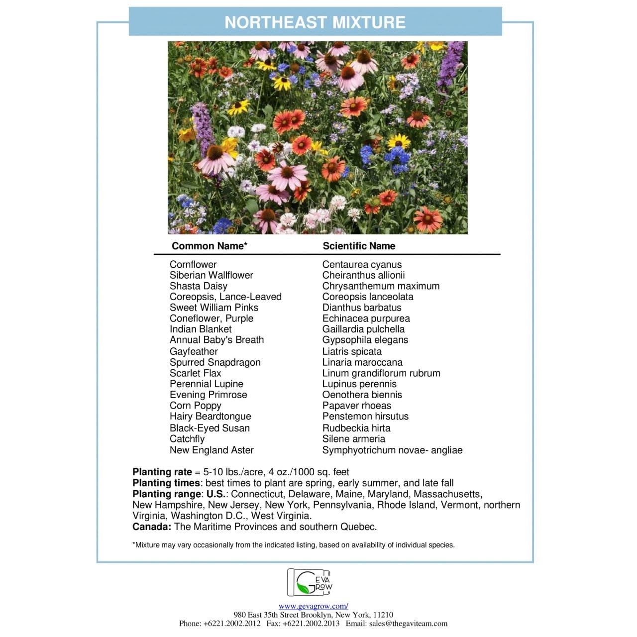 Regional Wildflower – Northeast USA Wildflowers – 100% Pure – Organic, Non-GM…