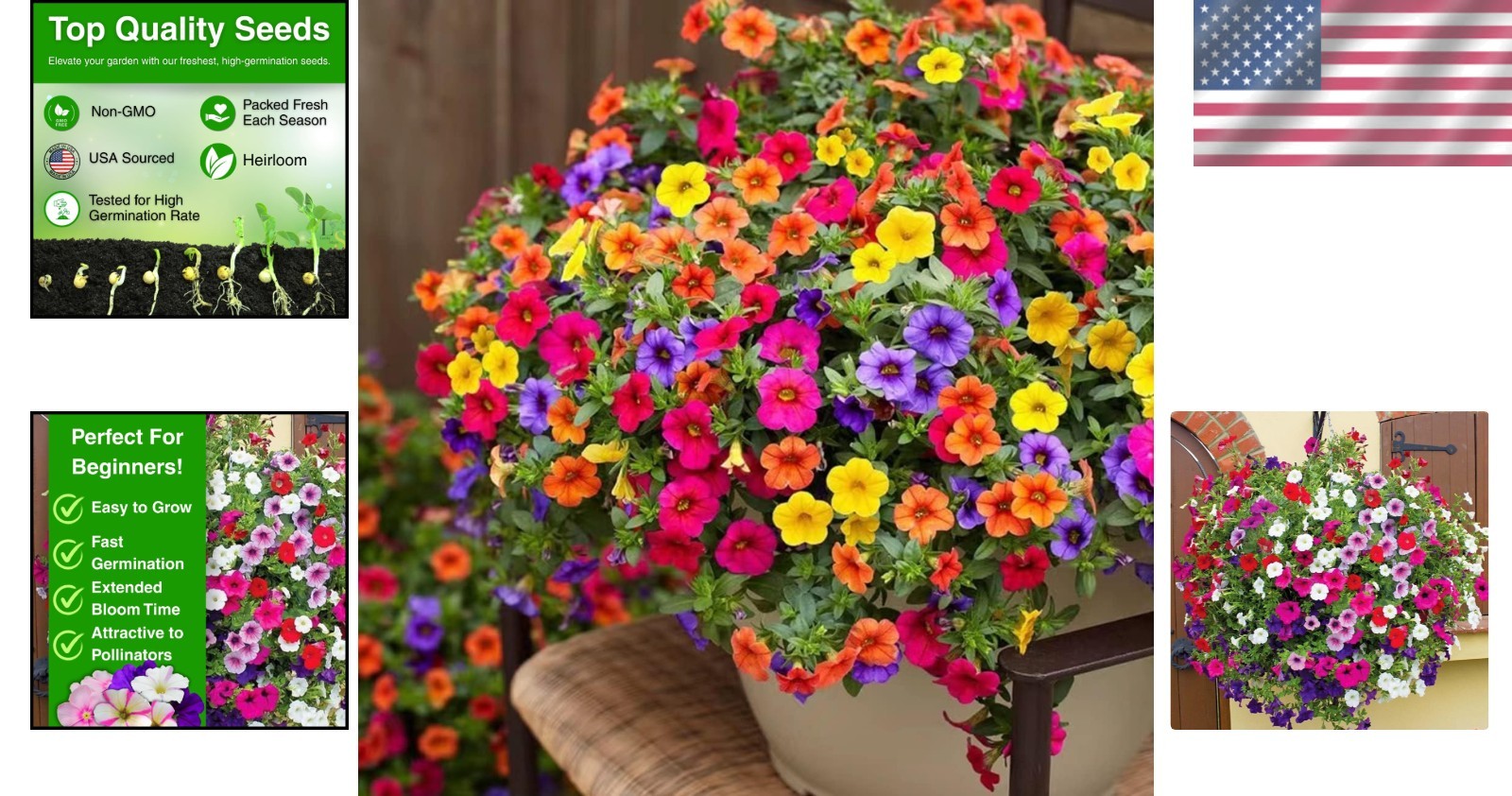 Non-GMO 5000+ Petunia Seeds – Ideal for Pollinator Gardens & Extended Bloom Time