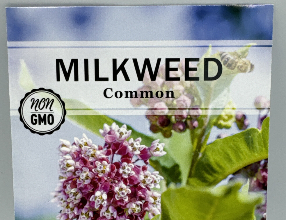 Common Milkweed Flower Seeds Packet 1/2 Gram by Sow Right Seeds. New