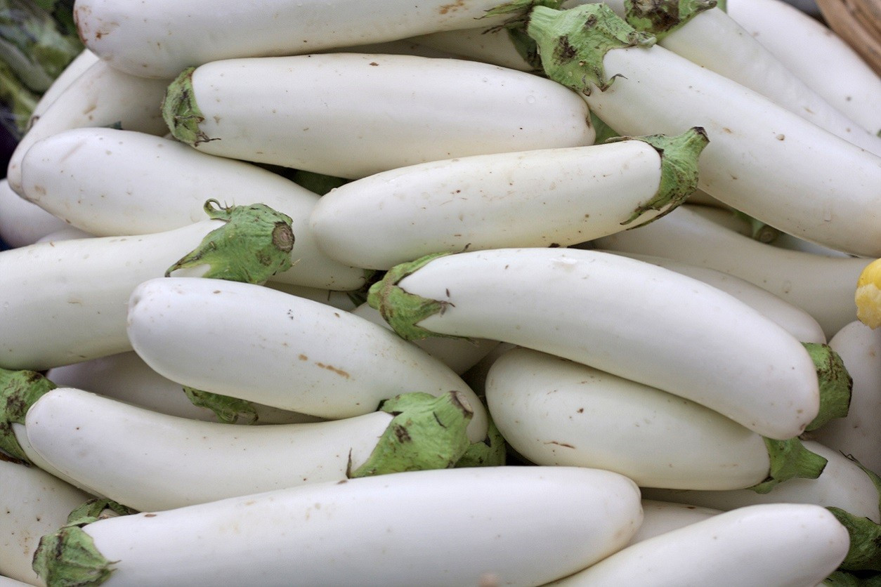 100+ SNOWY WHITE EGG EGGPLANT SEEDS — HEIRLOOM – ORGANIC ————- RARE