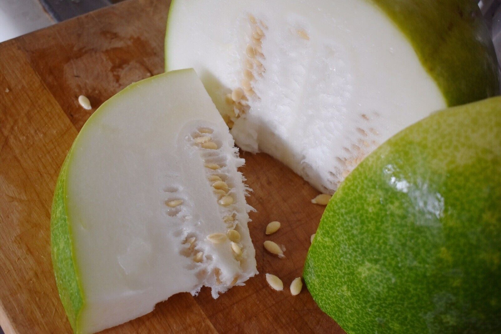 20 WAX GOURD Fuzzy Winter Melon Oblong Seeds Benincasa hispida USA FREE SHIPPING