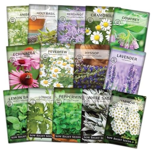 – Large Medicinal Herb Seed Collection for Planting – Chamomile, Echinacea,