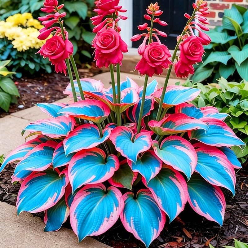 220+ Mixed Rare Hosta Seeds for Planting-Attract Pollinators Perennial Garden De