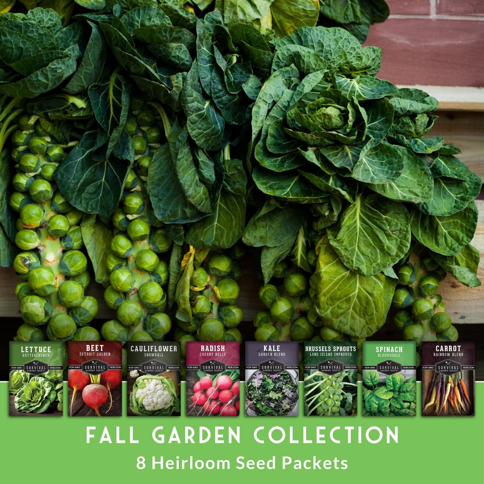 Fall Vegetable Seeds Collection – 8 Packs of Non-GMO Heirloom Cool Weather Se…