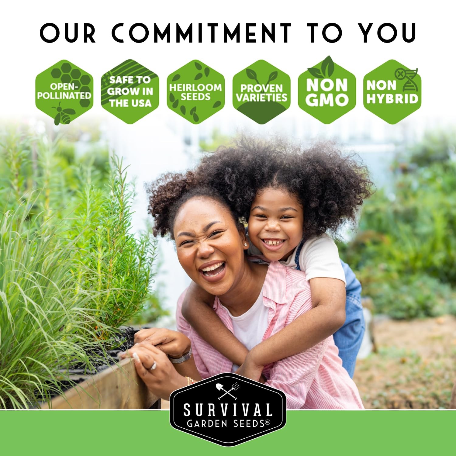 Heirloom Fennel Seeds for Planting NonGMO Vegetable Garden Seeds 2 Packs