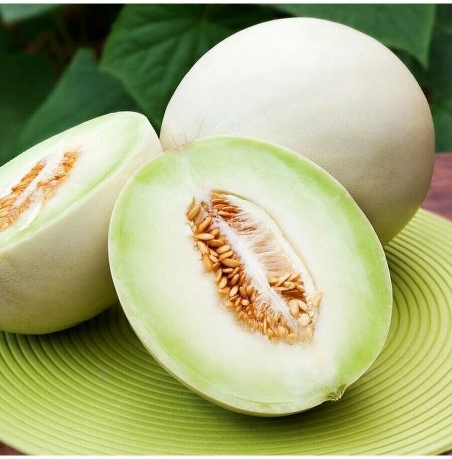 300 Honeydew Seed Variety Combo Pack 4 Unique Sweet Heirloom Honeydew Varieties