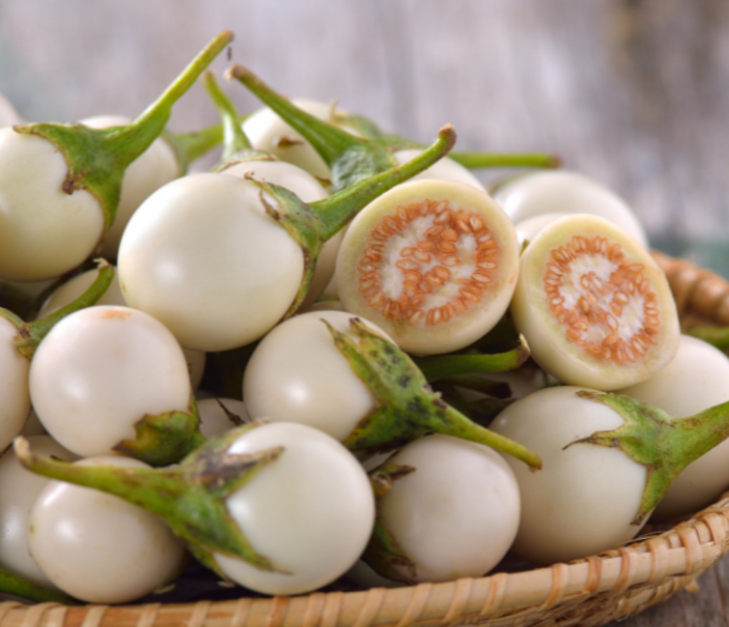 White Mini Round Eggplant Seeds – 0.5g per Pack – Vegetable – Cà Pháo Trắng