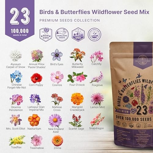 Wildflower Seeds Mix – 100,000+ Non-GMO Annual & Perennial for Garden, Attract B