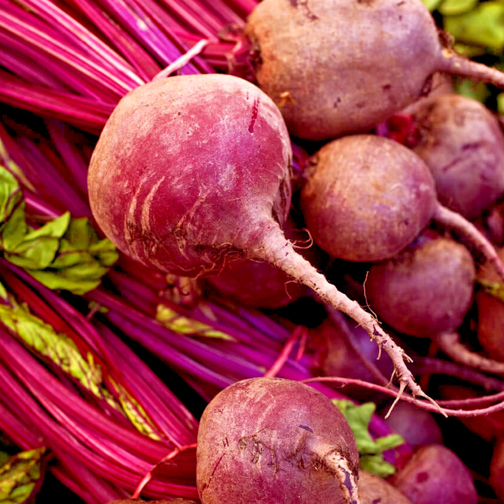 101+DETROIT DARK RED BEET Seeds Heirloom Vegetable Garden Patio Container Easy