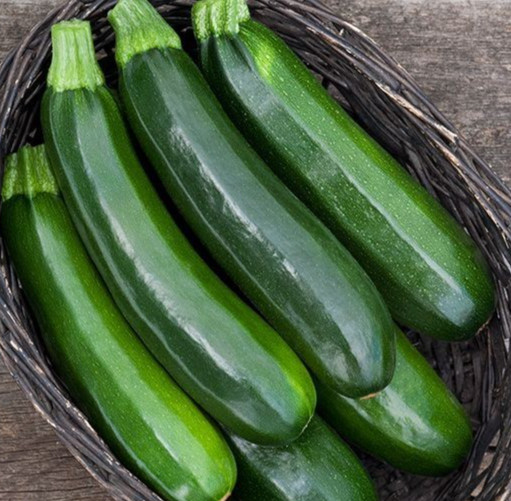 20 Fresh Dark Green Zucchini Summer Premium | NON-GMO | Squash Seeds-B 23