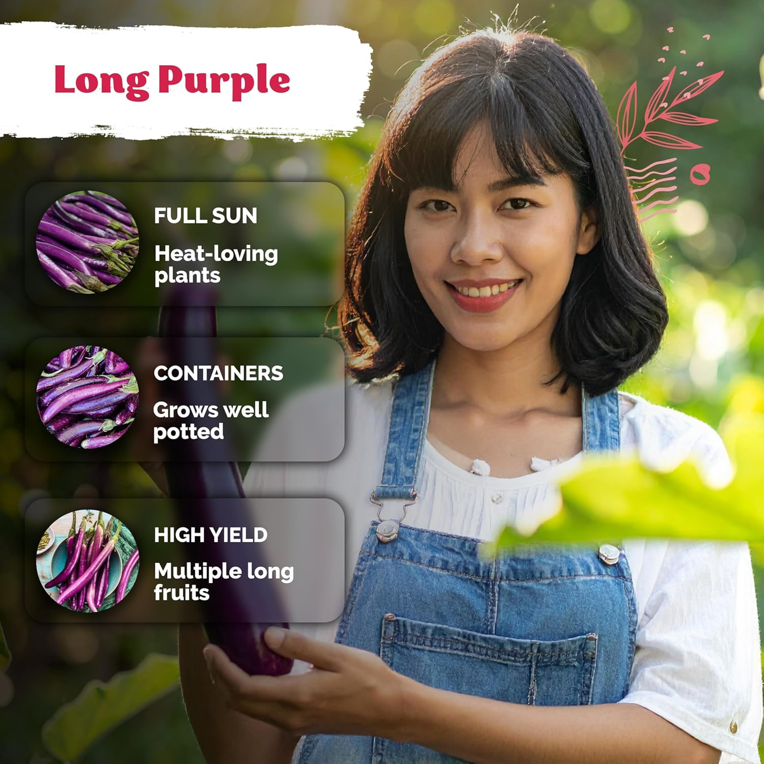 175 Long Purple Eggplant Seeds (Solanum Melongena) – Asian Eggplant, Dark Purple
