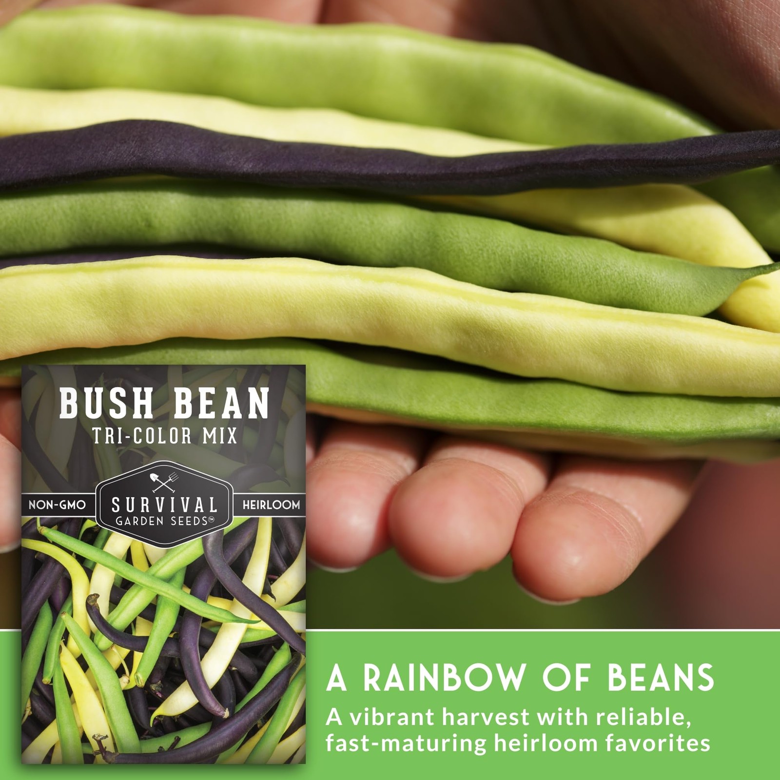 Heirloom Bush Bean Seeds Mix – Green, Yellow Wax, Purple – Non-GMO, High Yield