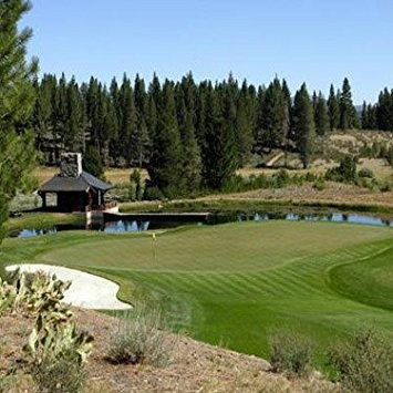 Grass Seed Creeping Bent 5 lb Penncross Golf Course Grade Outsidepride PC2.0
