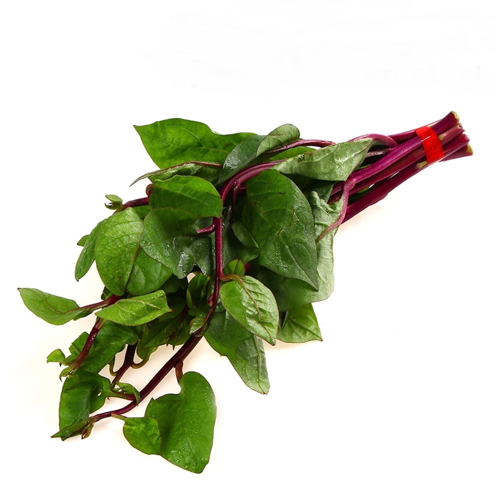 Red Stem Malabar Spinach Seeds Heat Tolerant, non bolting