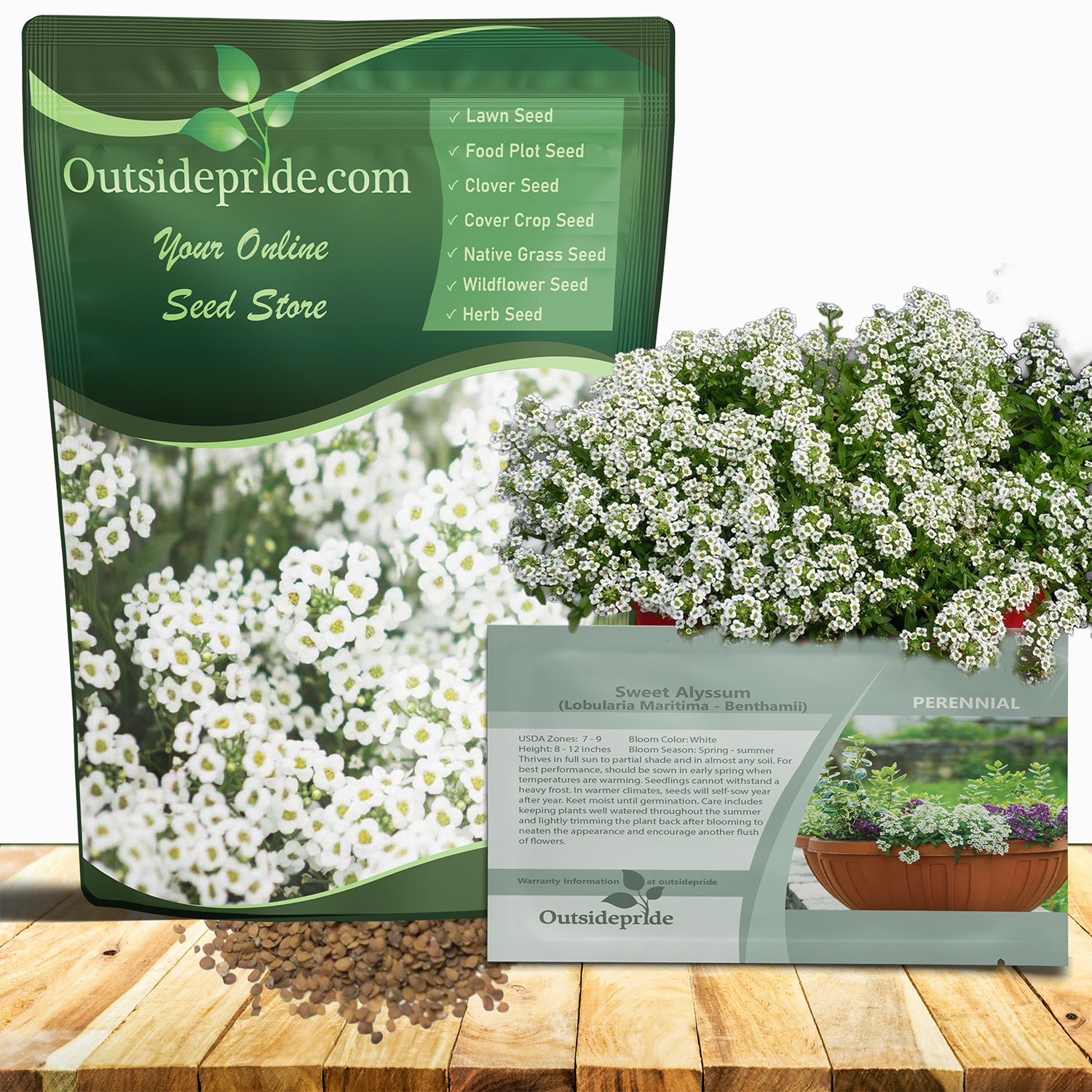 5 LBS White Sweet Alyssum Seeds For Planting | Lobularia Maritima |