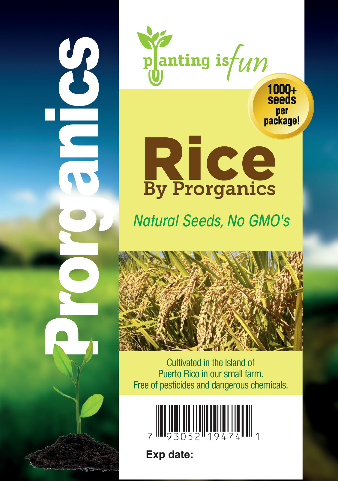 1000 seeds Natural Long Grain Brown Rice