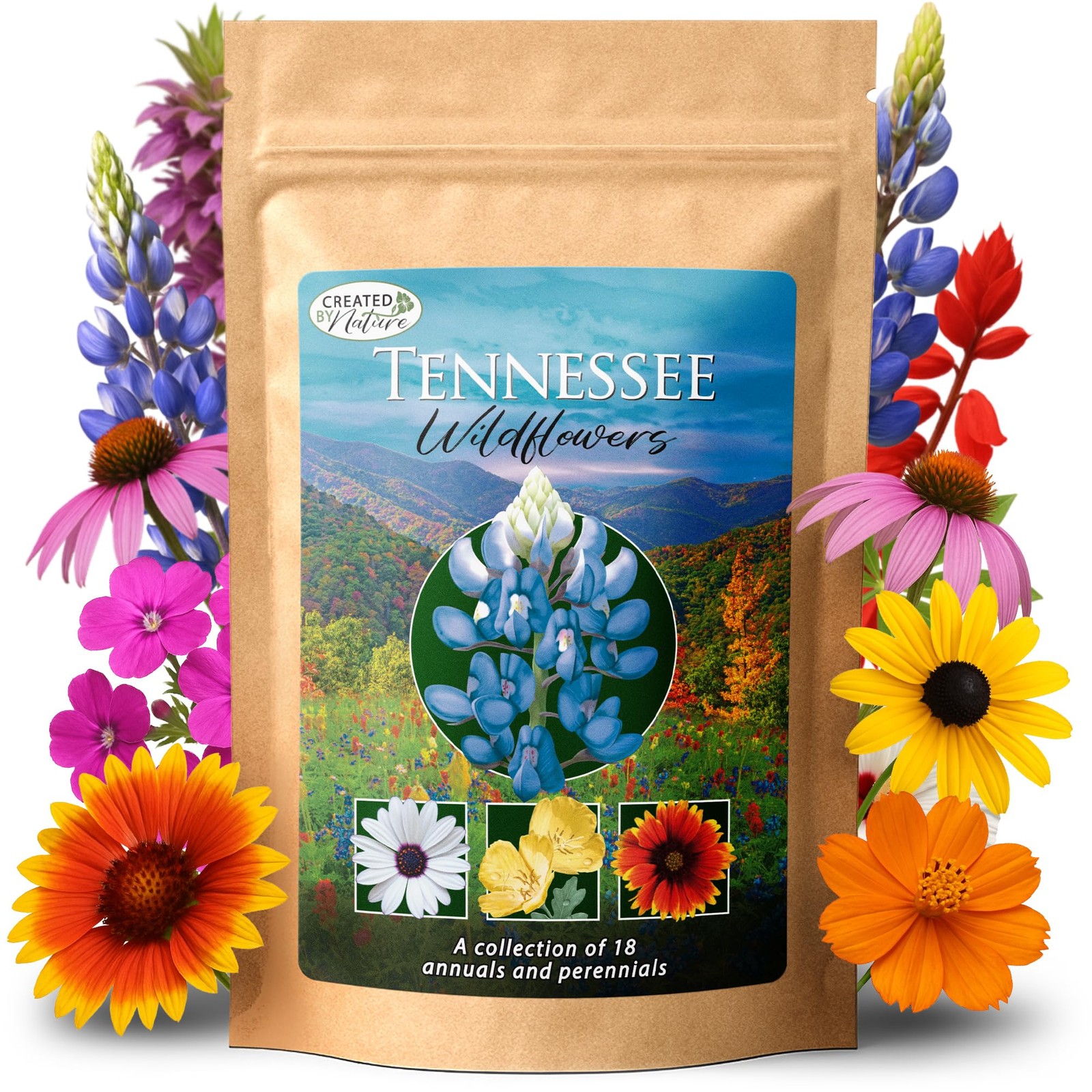Tennessee Wildflower Seed Mix, 18 Flower Varieties, 35,000 Seeds