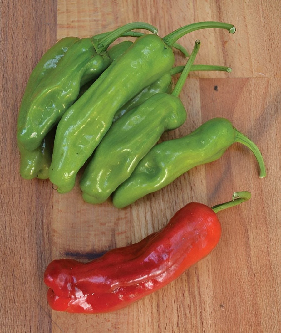 Italian Sweet Pepperoncini Pepper Seeds – 60 Seeds Heirloom Mild -NonGMO Organic