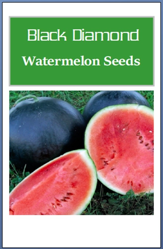 Black Diamond Watermelon Seeds | NON-GMO | Heirloom | Fresh Garden Seeds