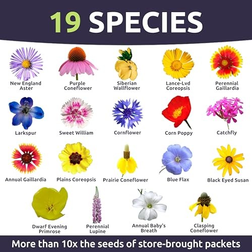 – Large 1 Ounce Packet – 15,000 Flower 1 Ounce (Pack of 1) Midwest Regional Mix