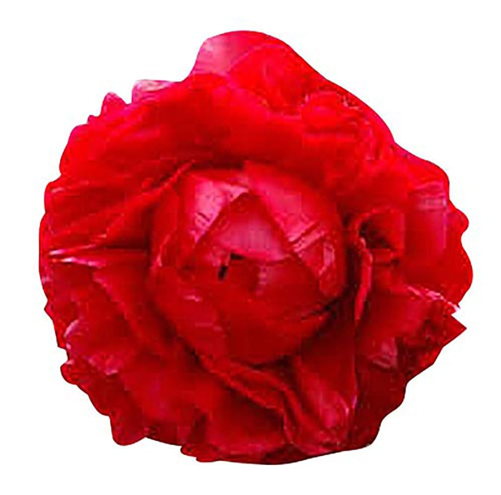 First Out – Early Double Dark Red Peony, Bare Root 3-5 Eyes, Peony Bulbs for …