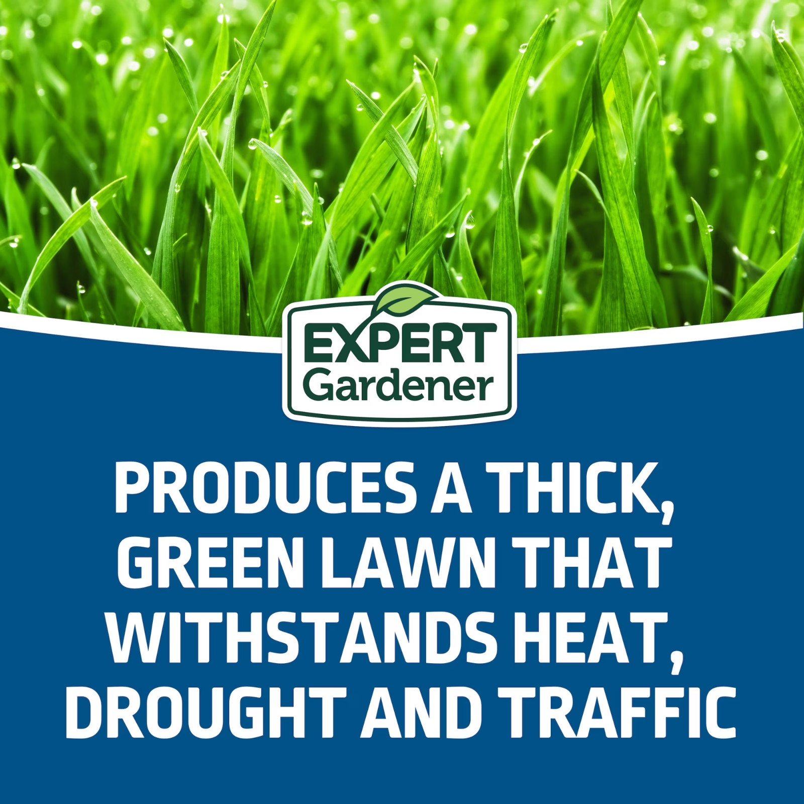 Expert Gardener Sun & Shade Northern Grass Seed Mix for Sun to Partial Shade