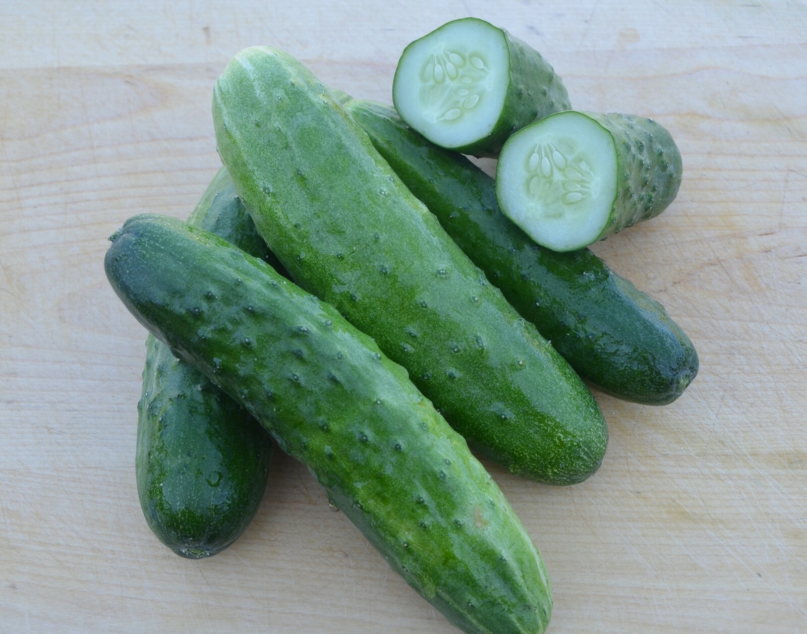 Cucumber Seeds- Straight Eight Heirloom- 100+ seeds 2021 Garden Seeds