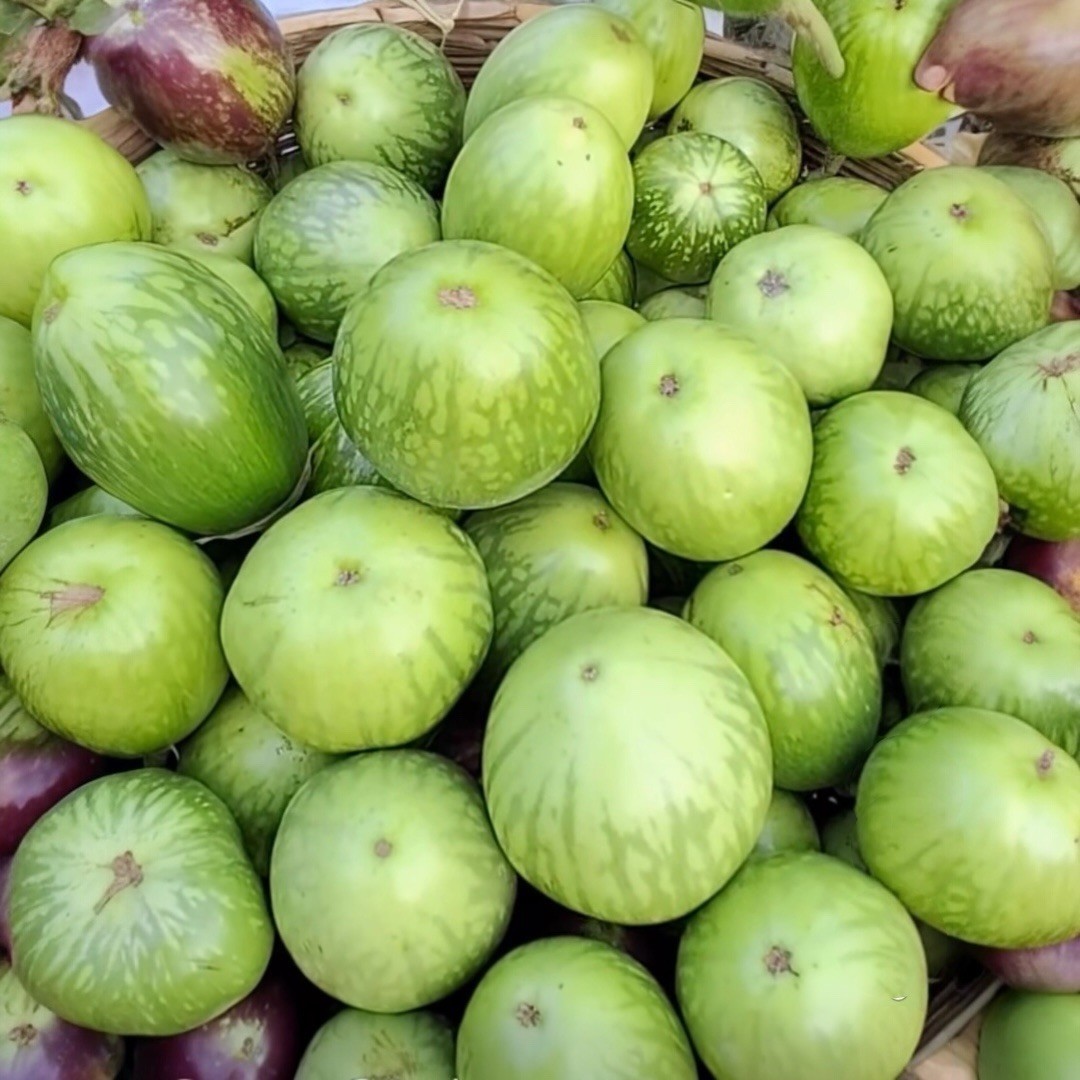 Brinjal Noyonkajol Organic Seeds | Bangladeshi Heirloom Eggplant Seeds 1 Gram