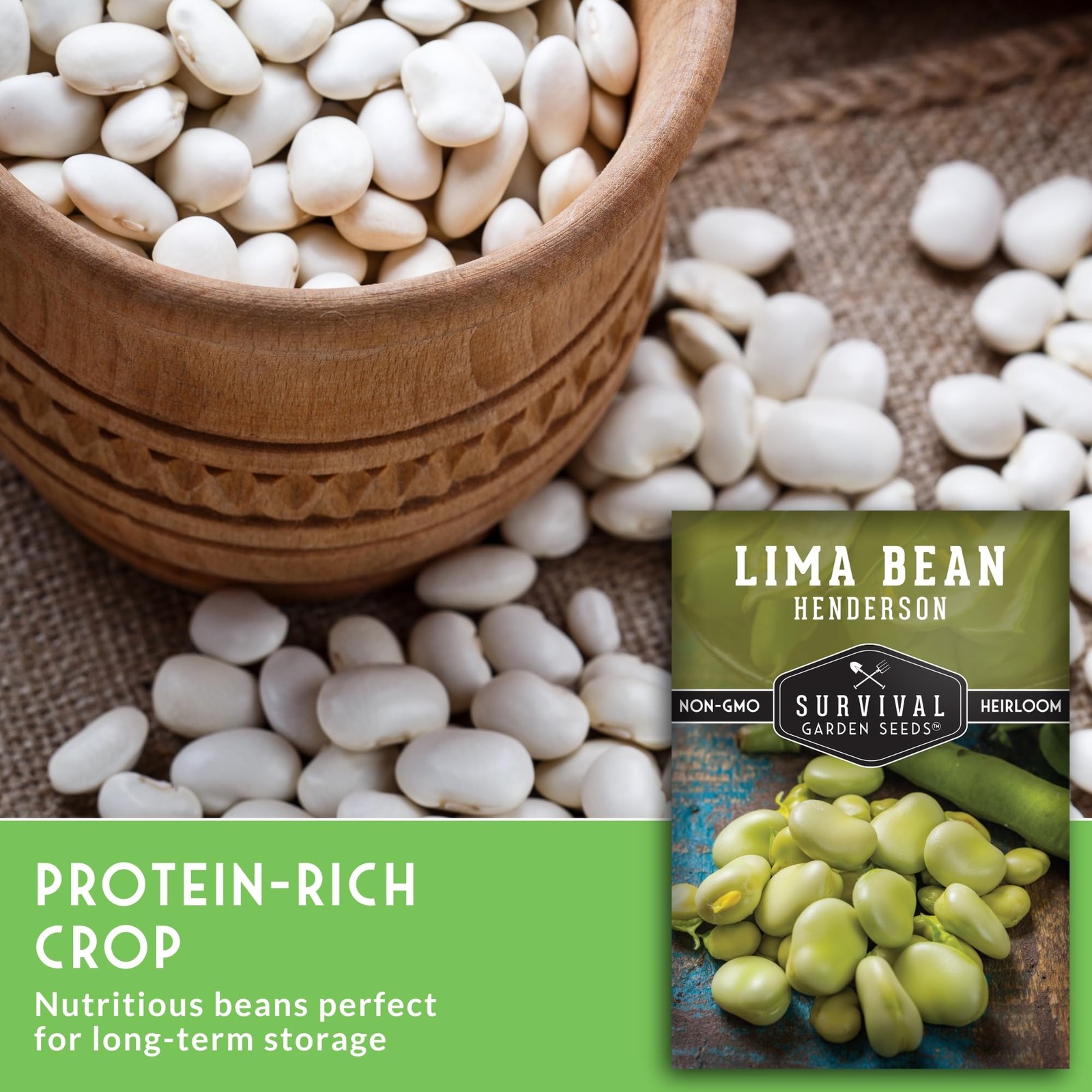 Lima Bean Seeds for Planting NonGMO Heirloom Variety for Gardens & Projects