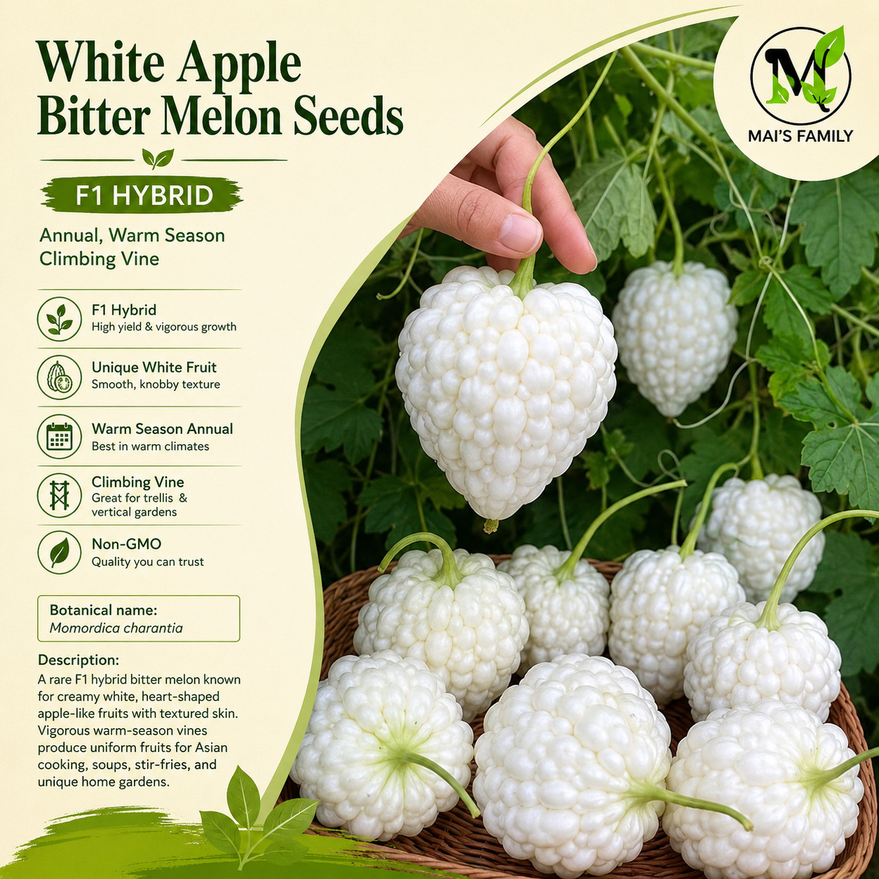 White Apple Bitter Melon Seeds (Momordica charantia) | Heart-Shaped White Karela