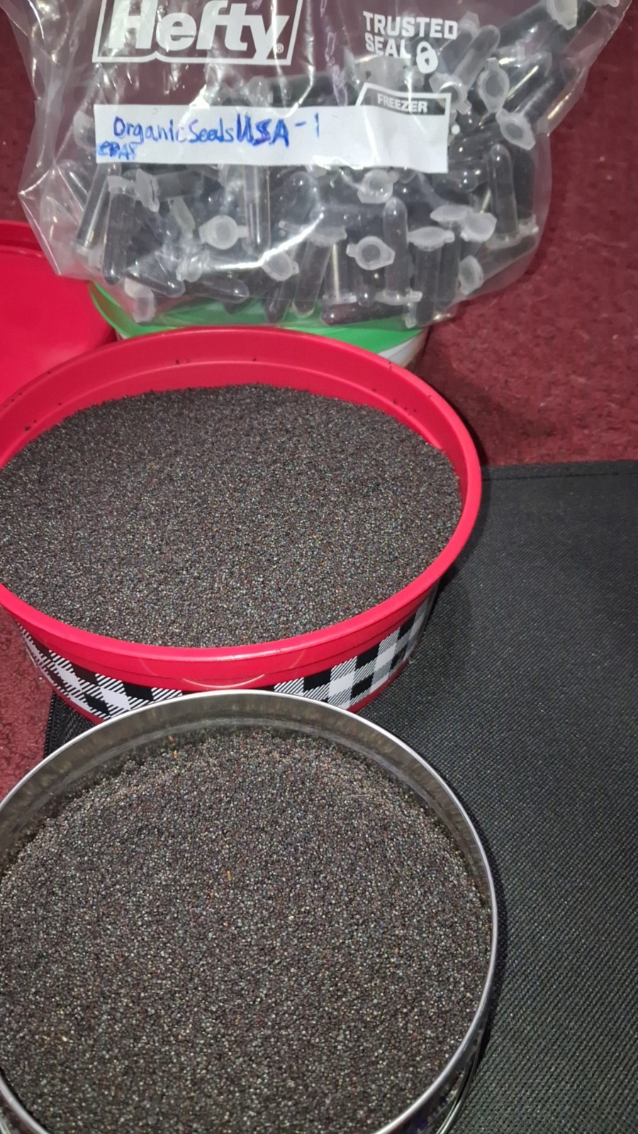 500+ COLD STRATIFIED Poppy Seeds RARE Somniferum blooms DECORATIVE Pods Non-GMO