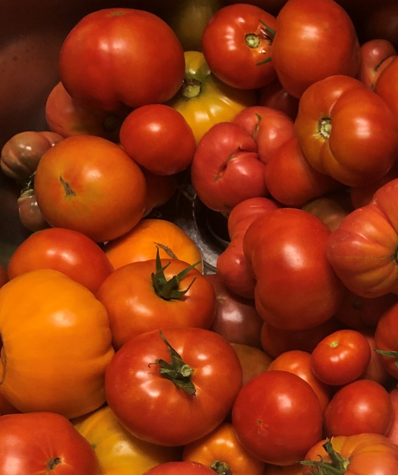 27 Varieties Organic Non-GMO Heirloom Tomatoes, 10/25/50/100 Seeds FREE SHIPPING